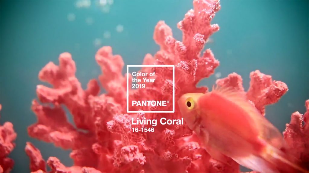 pantone color of the year 2019 living coral