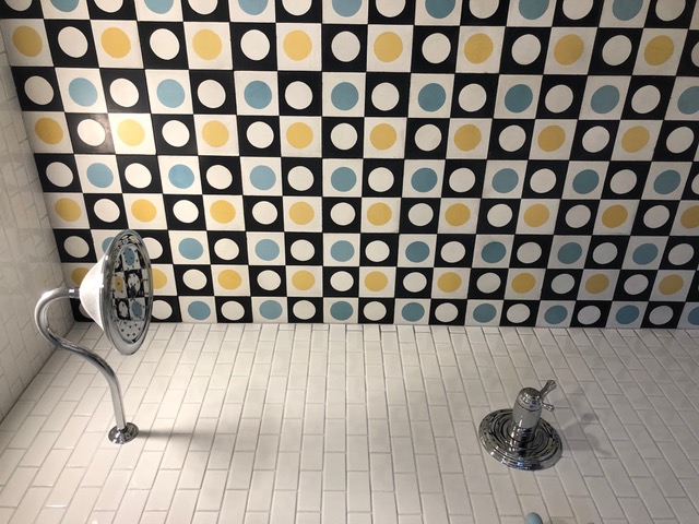 Close up of shower with one wall covered in polka dot tile