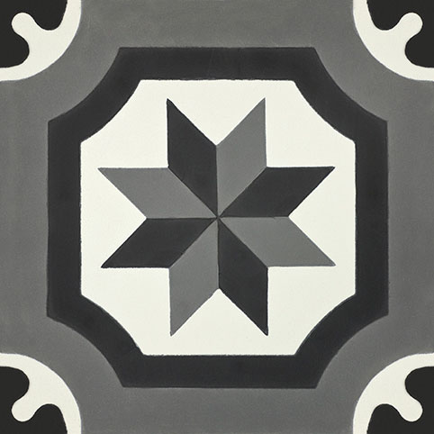 Salamanca 1021 A mosaic 1